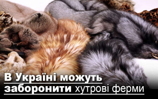 В Україні можуть заборонити хутрові ферми