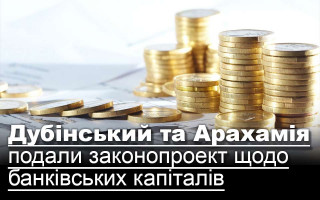 Дубінський та Арахамія подали законопроект щодо банківських капіталів