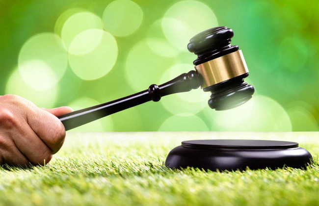 Судовий захист природного довкілля та екологічних прав: у Києві відбувся міжнародний форум