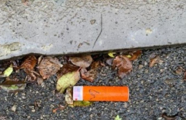 Под Киевом дерзкая девушка напала на полицейского: есть подробности