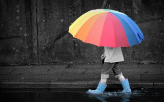 Украину накроют дожди и туманы: погода