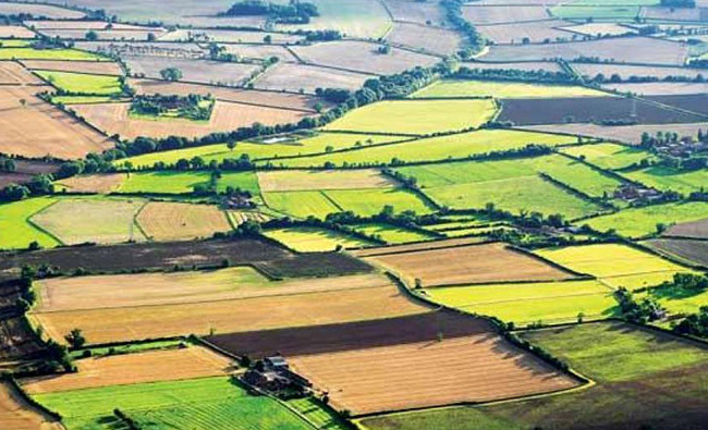 Парламент розгляне законопроекти, що стосуються ринку землі