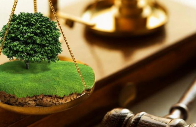 У КГС ВС обговорять актуальні питання щодо земельних спорів