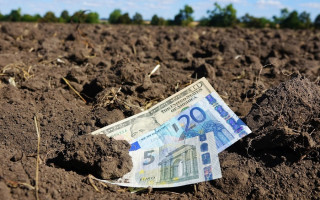 Ринок землі: Євросоюз підтримав плани Кабміну