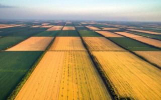 Треба вже закінчувати цей совок: Дубілет висловився стосовно земельної реформи