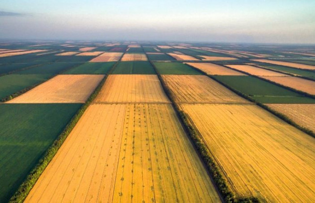 Треба вже закінчувати цей совок: Дубілет висловився стосовно земельної реформи