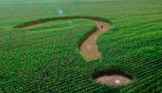 У КГС ВС обговорюють актуальні питання щодо земельних спорів, трансляція