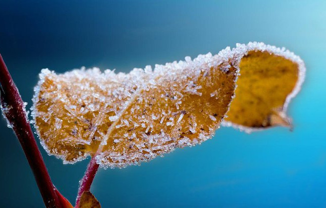 Погода на ближайшую неделю: когда похолодает и придут морозы