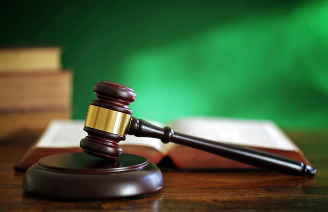 Суд притягнув до адмінвідповідальності матір, що нехтувала батьківськими обов’язками