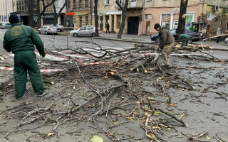 Штормовой ветер в Одессе повалил десятки деревьев, фото