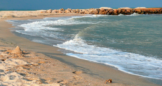 Погодная аномалия: Азовское море превратилось в пустыню из-за шторма, видео