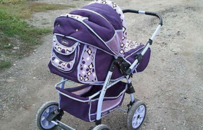 В Винницкой области кот задушил ребенка в коляске