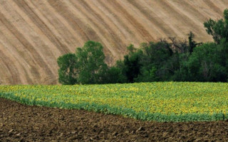 Земельна реформа: у Раді проходять парламентські слухання