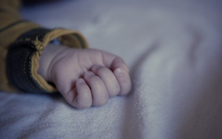 Під Вінницею кіт задушив немовля: подробиці трагедії