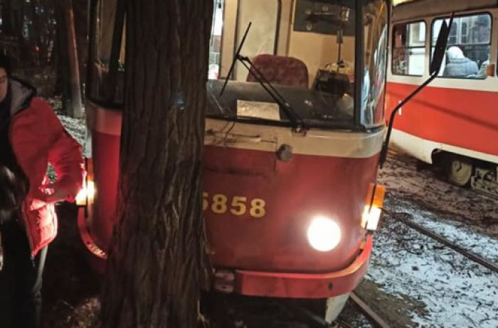 У Києві трамвай влетів у дерево, фото
