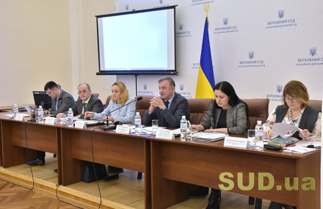 Зловживання процесуальними правами: проблемні питання судової практики