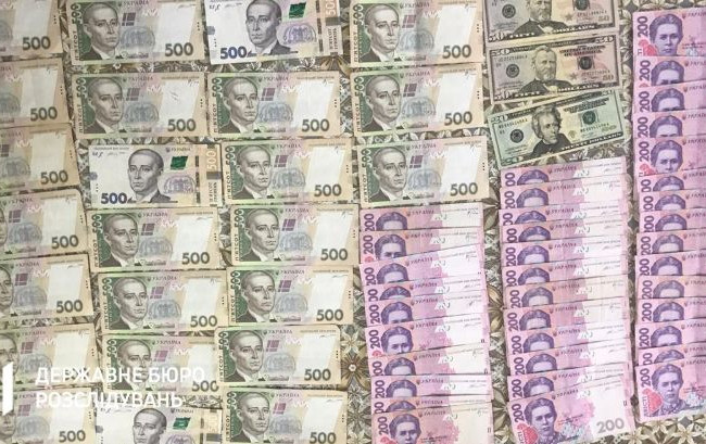 Незаконна вирубка лісів: ДБР повідомило про підозру 9 посадовцям