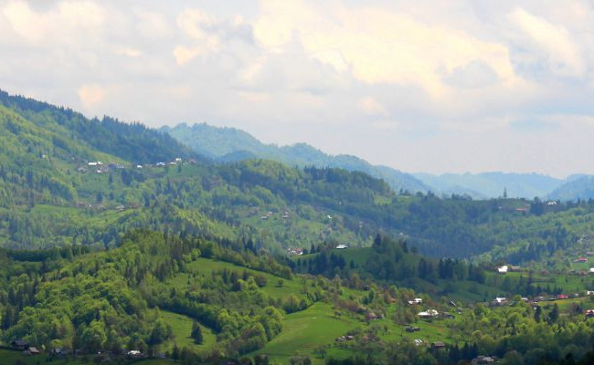 Суд зберіг національний природний парк «Гуцульщина»