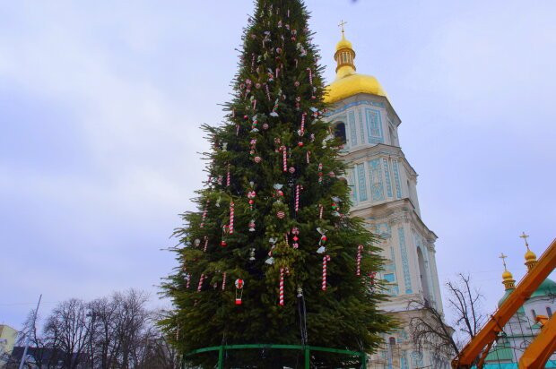 В Киеве нарядили главную новогоднюю елку страны, фото