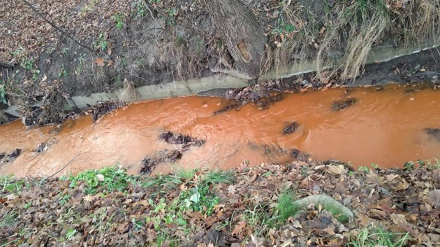 В столичном парке вода в ручье стала ржавой, фото