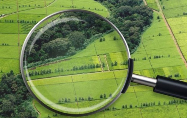 Посадовців Держгеокадастру відсторонили від роботи: що відомо