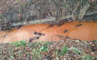 В столичном парке вода в ручье стала ржавой, фото