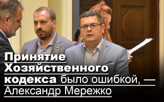 Принятие Хозяйственного кодекса было ошибкой, — Александр Мережко