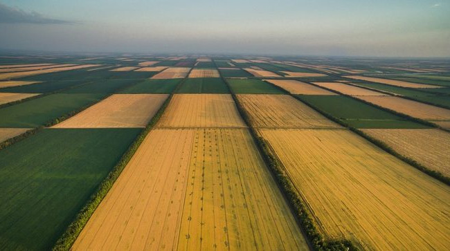 Геокадастр готовий до запуску ринку землі, — Милованов