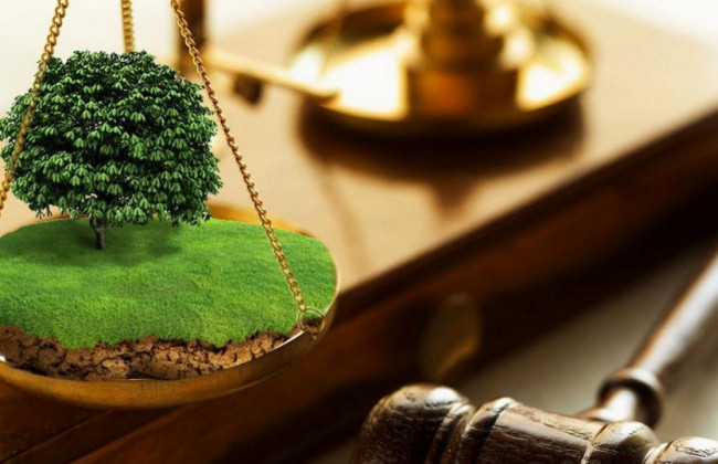 Компенсація за відмову від отримання земельної ділянки: подано законопроект