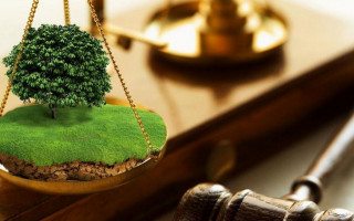Компенсація за відмову від отримання земельної ділянки: подано законопроект