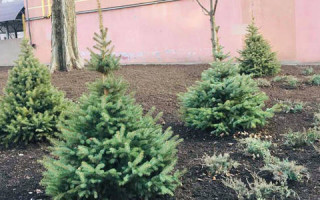 Киян потішили новим сквером на Солом’янці: фото