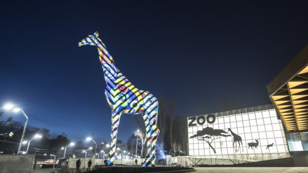 Киевлян впечатлили светящейся фигурой жирафа в зоопарке: есть видео