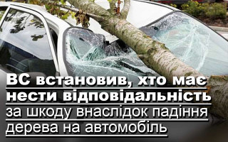 ВС встановив, хто має нести відповідальність за шкоду внаслідок падіння дерева на автомобіль