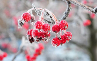 Погода в останній день року: в Україні оголосили штормове попередження