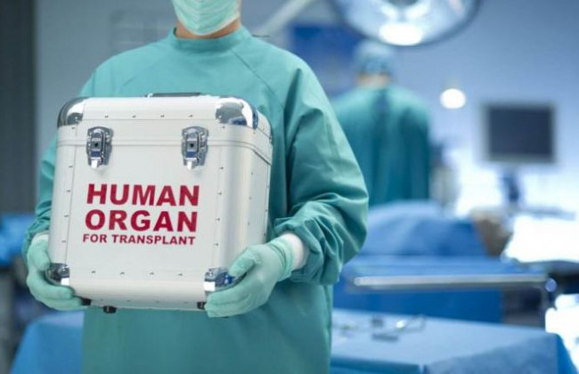 Трансплантація органів за новим законом