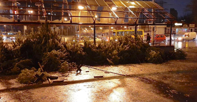 У Києві посеред вулиці викинули більше десятка непроданих ялинок