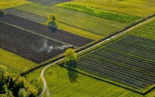 Українцям відкрили доступ до документації із землеустрою