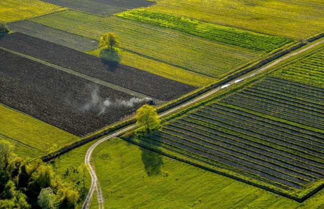 Українцям відкрили доступ до документації із землеустрою