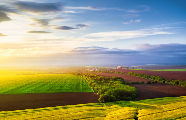 Земельна реформа: коли законопроект про обіг земель винесуть у сесійну залу