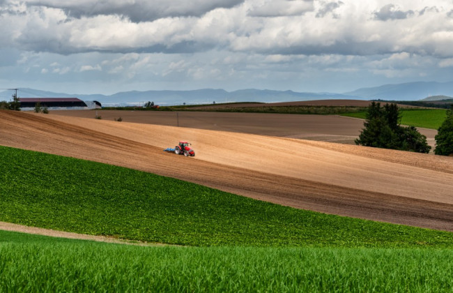 Госгеокадастр подсчитал, сколько в Украине госземель