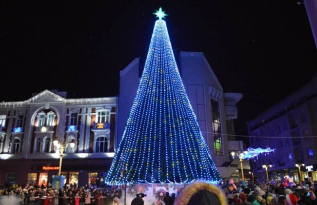 Не понравилась гирлянда: в Ивано-Франковске мужчина залез на елку, фото