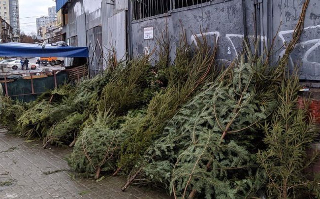 Киевлянам показали «кладбища» елок, фото