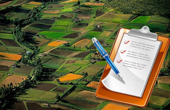 Законопроект про ринок землі готовий до другого читання: коментарі у соцмережах