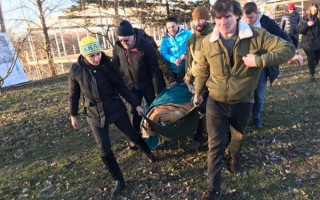 Брошенных киевских тигров увезли в новые дома: подробности, фото