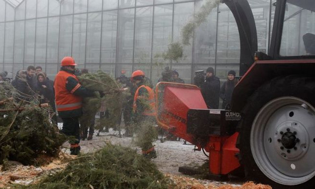 Киянам повідомили, скільки працюватимуть пункти збору новорічних ялинок