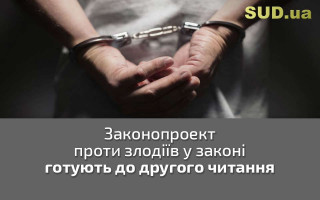 Законопроект проти злодіїв у законі готують до другого читання