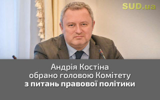 Андрія Костіна обрано головою Комітету з питань правової політики