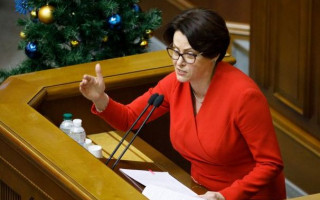 Повышение лимитов для ФОПов: Южанина осудила закон