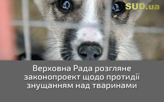 Верховна Рада розгляне законопроект щодо протидії знущанням над тваринами