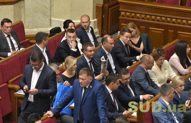 Парламент поддержал за основу законопроект  о Службе внешней разведки